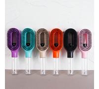Pettine spray 2-in-1 per lo styling, pettine spray con nebulizzazione d'acqua e serbatoio integrato, setole morbide e flessibili, pettine spray per lo styling da usare su capelli asciutti e bagnati, a