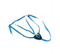 Pettorale e martingala in biothane con fibbie ottonate Lakota