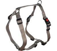 Pettorina AD H ZIGGI Greige XL 70-110CM 25MM