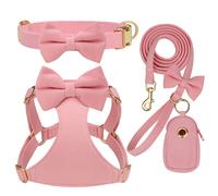 Pettorina + Collare + Guinzaglio + Portasacchetti Set Carino per Cuccioli XS