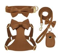 Pettorina + Collare + Guinzaglio + Portasacchetti Set Carino per Cuccioli XS