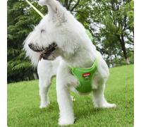 Pettorina con Guinzaglio Grande Capacità Borsa a Sella Cane Resistente