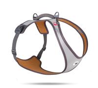 Pettorina Curli Glow Belka - grigio - 55,5 - 62,7 cm circ. torace