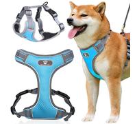 Pettorina da addestramento ASTRO blu per passeggiate con il cane, taglia L
