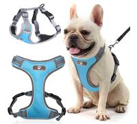 Pettorina da addestramento ASTRO blu per passeggiate con il cane, taglia M