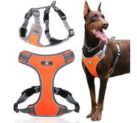 Pettorina da addestramento per cani ASTRO arancione, taglia XL