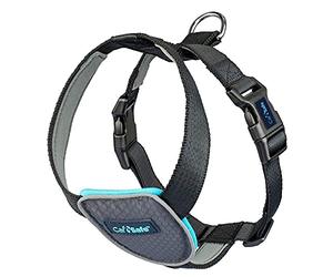 Pettorina da viaggio per cani CarSafe, garantisce la sicurezza del cane in auto, rispetta il codice della strada e i requisiti delle compagnie assicurative per viaggi in auto (Taglia M)