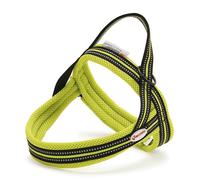 Pettorina Dolomiti modello svedese e con dettagli catarifrangenti per cani Recor