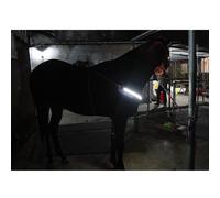 Pettorina elastica a LED per pettorale con colletto allacciato al collo per