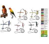 Pettorina elastica fibbie plastica sganciabili pappagalli conuro del sole