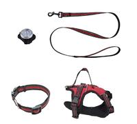 Pettorina flash per cane taglia media kit Nero