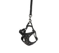 PETTORINA+GUINZ SIMILP DC103/C