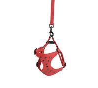 PETTORINA+GUINZ SIMILP DC104/A