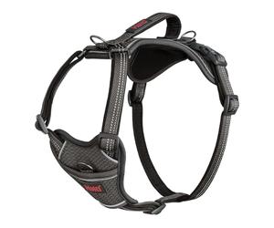 Pettorina HALTI Anatomy con impugnatura - Regala al tuo cane libertà di movimento per camminare in comodità. 3 punti di aggancio per il guinzaglio, Regolabile e Catarifrangente (Taglia M, Grigio)