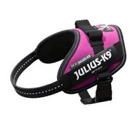 Pettorina IDC Julius K9 Powerharness (ITA) - Pettorina IDC Julius K9 Powerharness (ITA) - Fucsia, XS / Mini Mini (40-53cm)