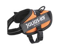 Pettorina IDC Power Harness Julius K9 Tg 2XS Baby 2 torace 33-45 cm peso 2-5 kg