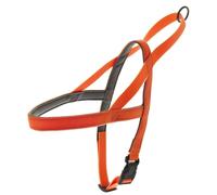 Pettorina in silicone norvegese modello Fun Flat per cani Ferribiella