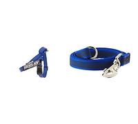 Pettorina JULIUS-K9 blu e guinzaglio super presa blu - taglia: mini