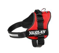 Pettorina Julius K9 per cani K9 Power Hanrness per città e passeggiate taglia 3