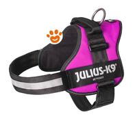 Pettorina Julius K9 Powerharness (DE) - Pettorina Julius K9 Powerharness (DE) - Fucsia, M / Taglia 0 (58-76cm)