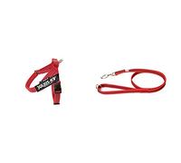 Pettorina JULIUS-K9 rossa e guinzaglio super presa rosso - taglia: mini-mini