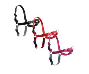 Pettorina modello Easy Walk per cani Petsafe