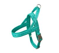 Pettorina per cani Casual Eco - pavone / 70-80