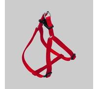 PETTORINA PER CANI EASY P Tg XL mm 25 x cm 62-90 Col Blu Collari Cani Gatti