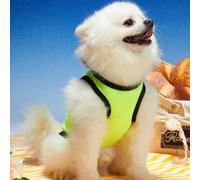 Pettorina per cani/gatti con stampa "Artist King of the House" in verde fluorescente, comoda e traspirante, 1 pezzo per il raffreddamento estivo, adatta per le vacanze L,M,S,XL,XS,XXL,XXS,XXXL,XXXXL,X