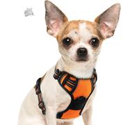 Pettorina per Cani No Pull Imbottita Easy Fit Con Impugnatura Anteriore, Clip, R
