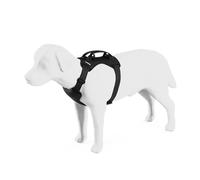 Pettorina per cani Thule Cappy S