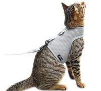 Pettorina per gatti e guinzaglio da passeggio, in tessuto a rete traspirante, a prova di fuga, colore grigio tinta unita, grande, regolabile, gilet imbottito elegante per gatti