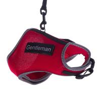 Pettorina per gatti Trixie XCat con adesivi e guinzaglio - rosso