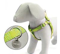 PETTORINA SIMILPELLE GLOSSY REGOLABILE 50-75 CMx20MM VERDE