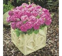 Petunia Grandiflora Double Duo Lavanda - 30 Semi Pelleted - e Seeds ONLY