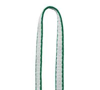 Petzl St' Anneau 24 Cm 21 - Fettuccia arrampicata - Bianco/verde [Taglia : Unique]