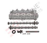 PEUGEOT CITROEN FORD Modulo Albero A Camme Completo Alloggiamento 1 Unità