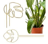 PEUTIER 2pz Bastone Piante Monstera, Oro, Supporto per Piante Riutilizzabili Accessori per la Crescita delle Piante per Piante da Interno ed Esterno
