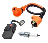 Pexorin Kit bobina di accensione e candele, per modelli 300 Trx, 300Fw, 2X4 e 4X4, anni 1998-2000, per codici 30400-Hm5-506 e 30410-Hm5 A11, set da 2 pezzi Bobina di accensione per moto bobina