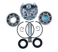 Pexorin Kit paraolio cuscinetti a sfera manovella spinotto pistone da 42,5 mm, for motosega STIHL, 025 MS250 OEM 123 030 2011 Pezzi di ricambio Kit cuscinetto albero motore motosega