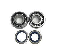 Pexorin Kit paraolio cuscinetto a sfere albero motore carter, for Husqvarna 362 365 371 372 XP, parti di motosega Kit cuscinetto albero motore motosega