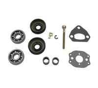 Pexorin Kit regolatore tendicatena paraolio cuscinetto albero motore, for Husqvarna 136 137 141 142 36 41, parti motosega 530056363 Kit cuscinetto albero motore motosega