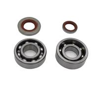 Pexorin Set paraolio con cuscinetto a sfera, for STIHL MS660 MS 066, pezzi di ricambio for motosega a benzina da giardino 96400031850 95030036676 Kit cuscinetto albero motore motosega