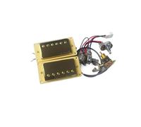 pezzi di ricambio per chitarra elettrica Pickup Per Chitarra Elettrica Zebra Ainico5 Humbucker Nero Pickup Per Chitarra Con Cablaggio 2V1T (Color : GD)