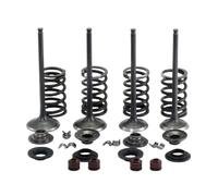 pezzi di ricambio per motociclette Gruppo valvola di aspirazione e scarico for moto 0180-6027 for accessori c-moto CForce 188 500 ATV UTV CF188 X5 CF188-B UF500 U5 CF188-A