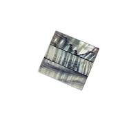 Pezzi grezzi di conchiglie di abalone selezionati assortiti intarsio piatto arco di violino rana forniture per liutaio diapositive di abalone accessori violino per principianti(100PCS)