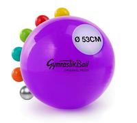 PEZZI Ledragomma Fitness Palla Gym Ball Standard 53 cm Viola
