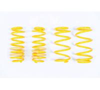 Pezzi Molle Abbassamento per Fiat Punto 188_40 / 40mm 28240009