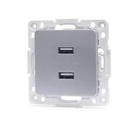 Pezzo adattatore per 2 prese USB tipo tedesco e francese, in elegante finitura argento. Ideale per caricare dispositivi in modo rapido ed efficiente ovunque.