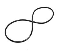 Pezzo di Ricambio: O-Ring per Coperchio Filtro per filtri a Pressione SunSun CPF-280 CPF-380 CPF-500